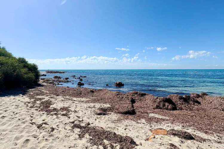 Gale Street Retreat – Busselton