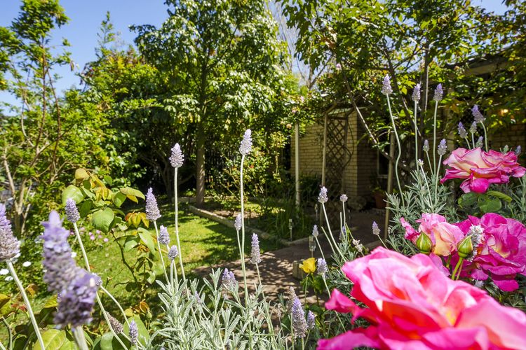 Secret Garden Cottage Busselton