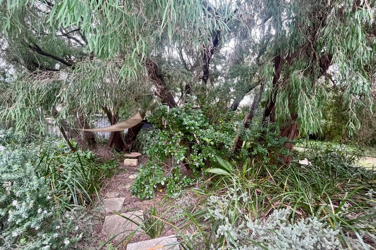 The Orchid Courthouse – Busselton