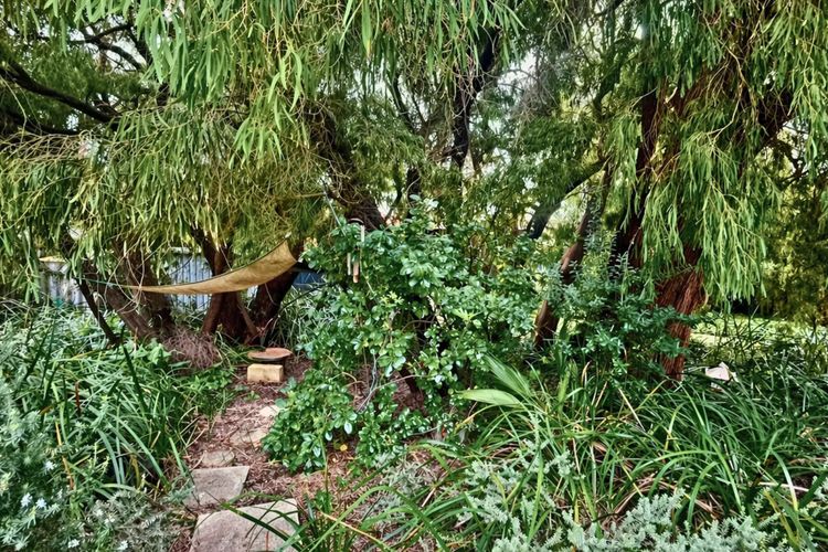 The Orchid Courthouse – Busselton