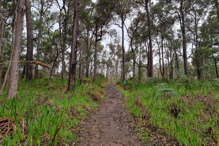 Rose Cottage – Nannup