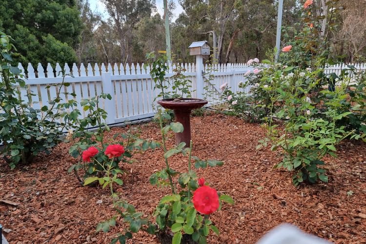 Rose Cottage – Nannup