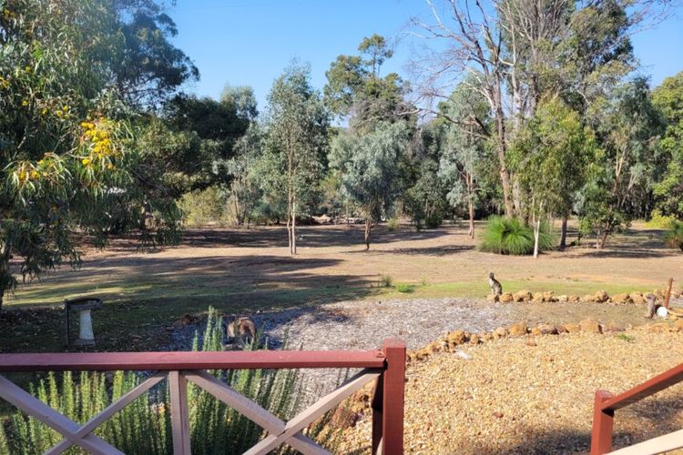 River Cottage Retreat – Jalbarragup