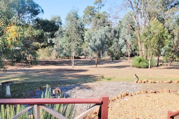 River Cottage Retreat – Jalbarragup