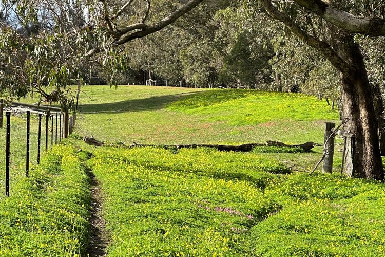 Nannup Rise Holiday Home