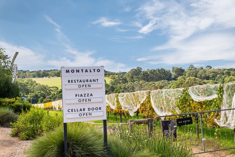 Walk to vineyards and adventure maze 