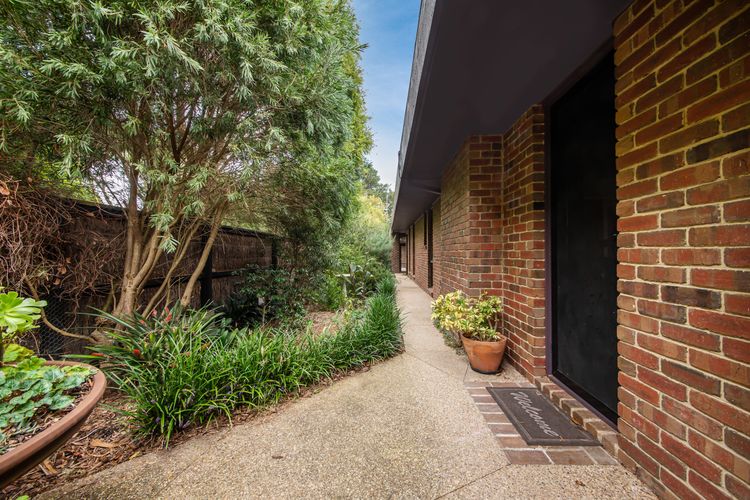The Somers Mid Century Shack