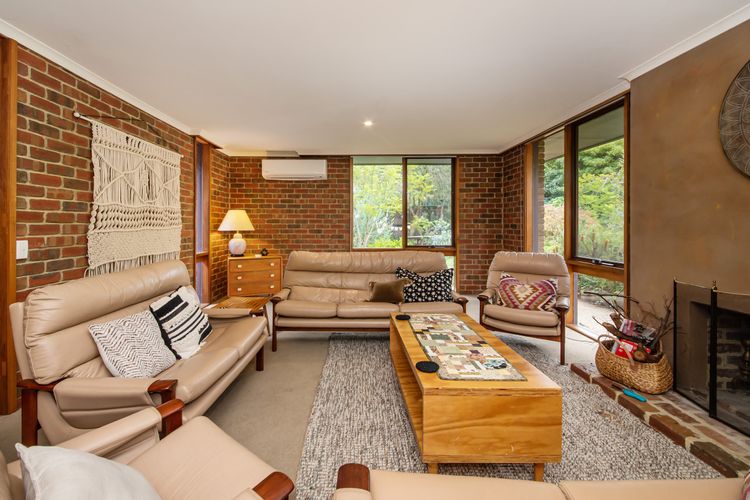 The Somers Mid Century Shack