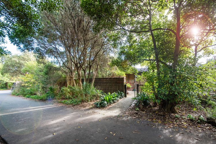 The Somers Mid Century Shack