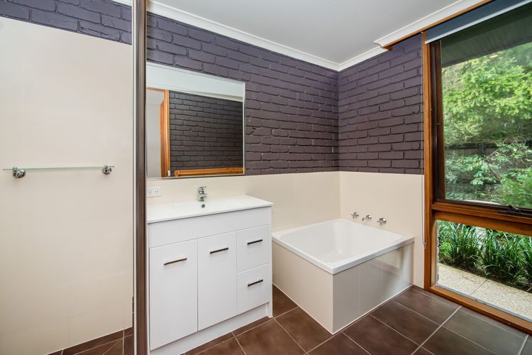 The Somers Mid Century Shack