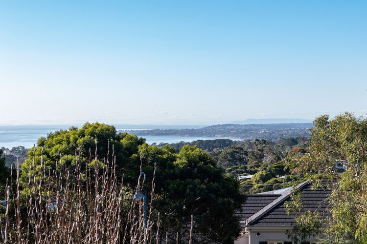 Luscious greenery view outdoors.