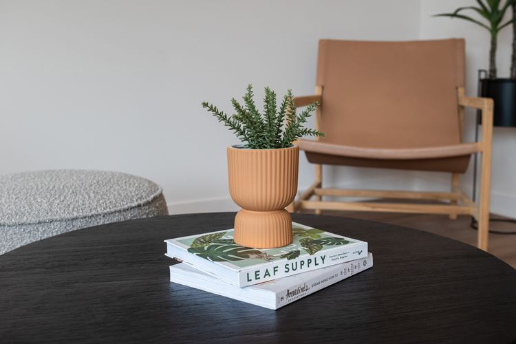 impeccably styled throughout