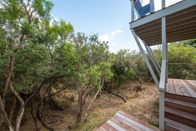 Bushland area 