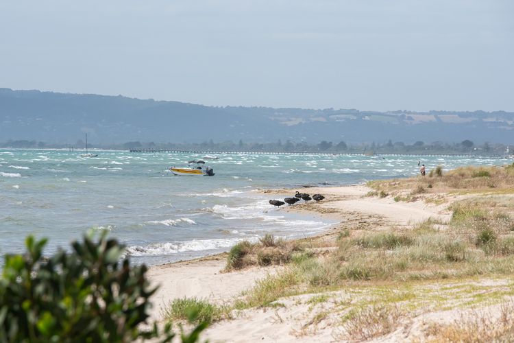Enjoy the lush greenery and seashore view. 