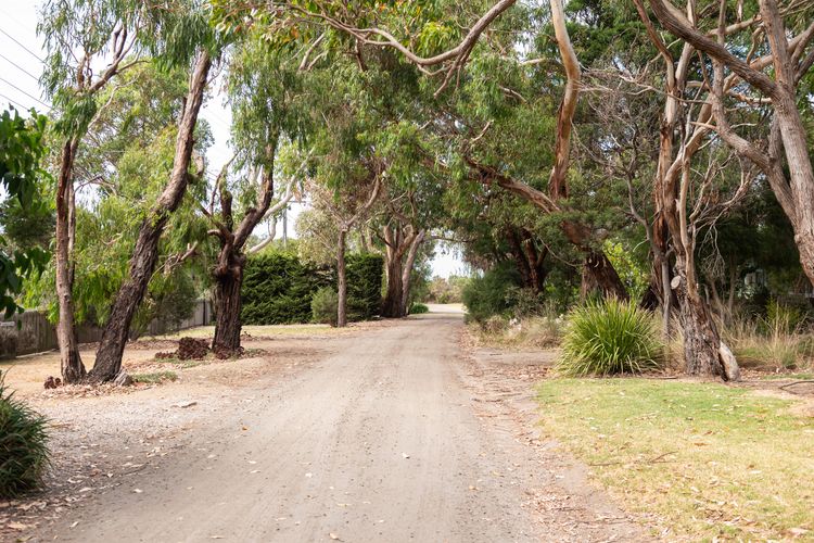 Lady Abigail in Flinders