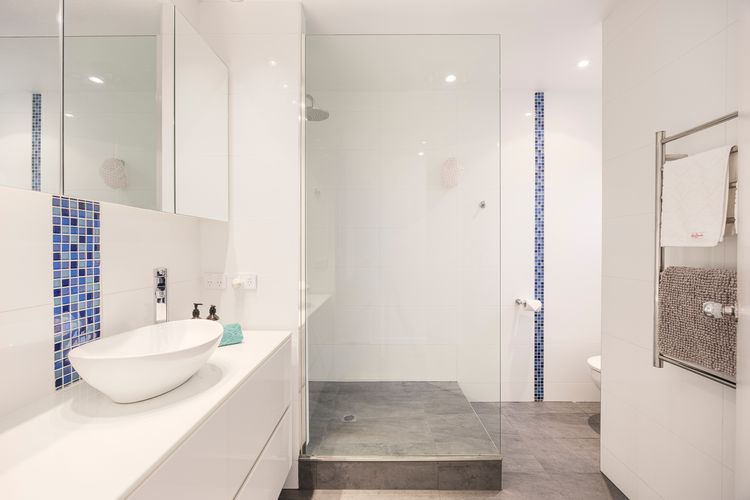 Bathroom shower and toilet 
