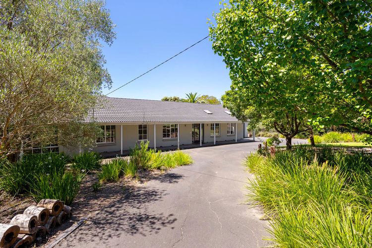 Driveway to the property