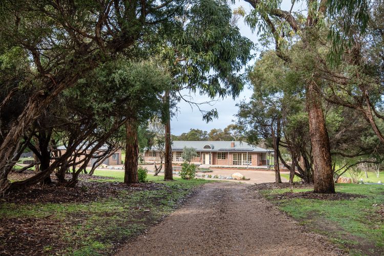 Our house is surrounded with tall trees and luscious greenery. 