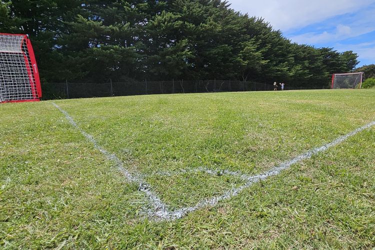 Soccer pitch