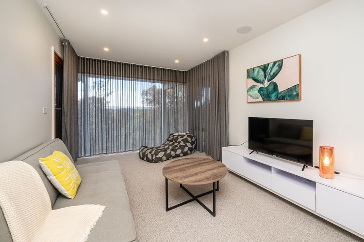 Second living room with fold out couch