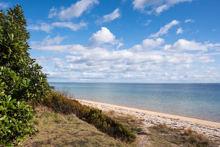 local beaches
