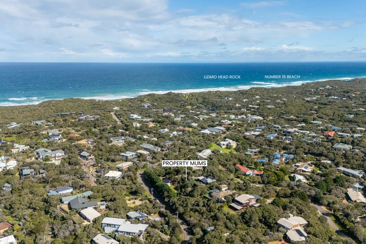 Aerial view location of the property