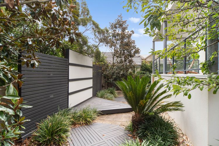 Garden outside 