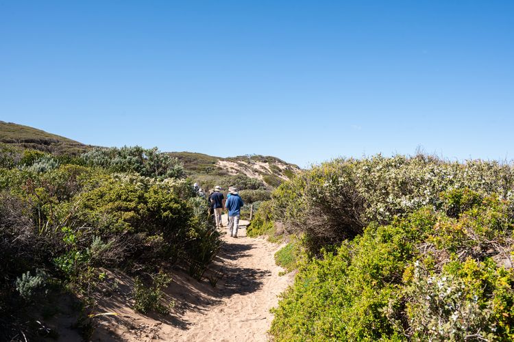 Trail to a scenic view