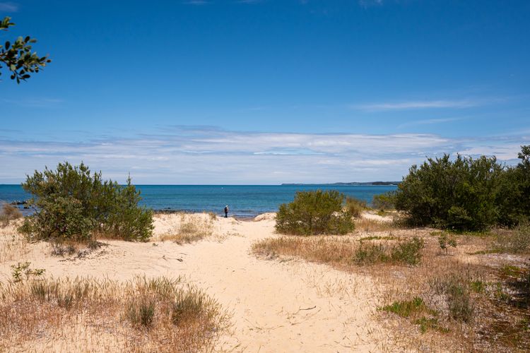 View of the beach 