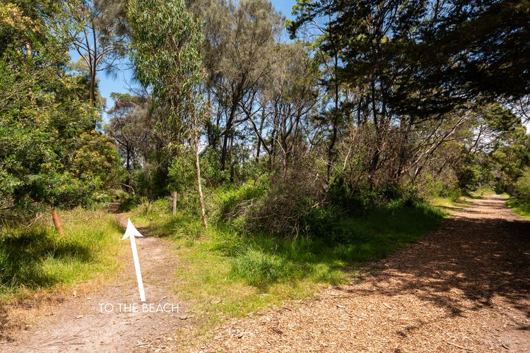 Trail to the beach view 