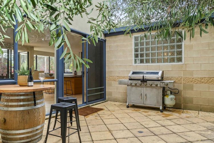 BBQ Alfresco Area under the olive tree