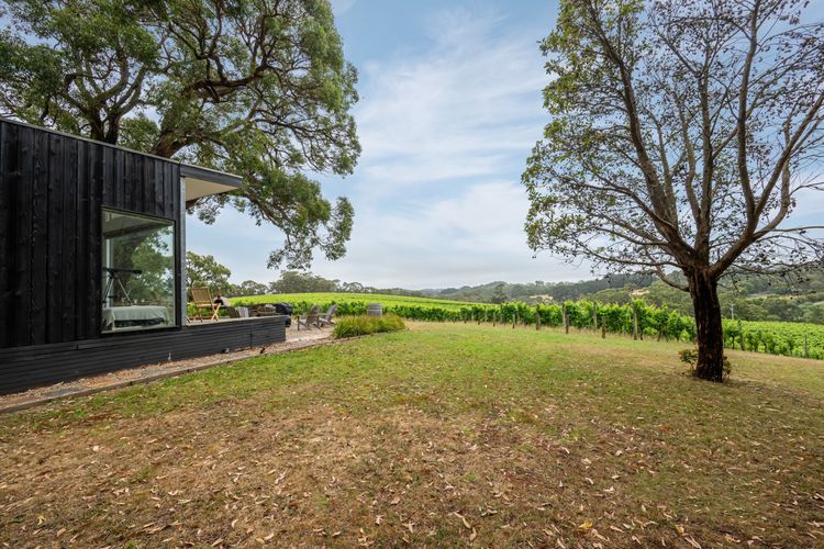 Bella’s Block Vineyard Retreat with Tennis Court, Shoreham