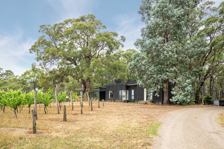 Bella’s Block Vineyard Retreat with Tennis Court, Shoreham