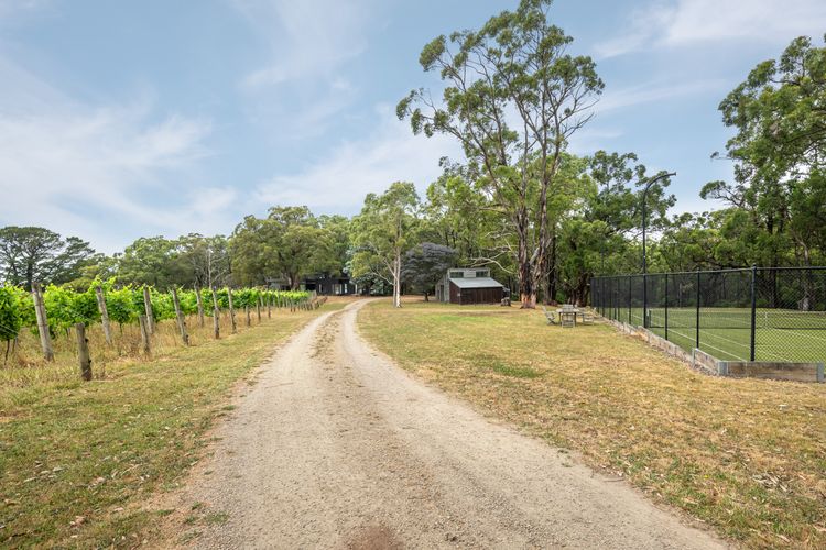 Bella’s Block Vineyard Retreat with Tennis Court, Shoreham