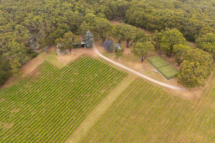 You will be staying on a functioning vineyard 