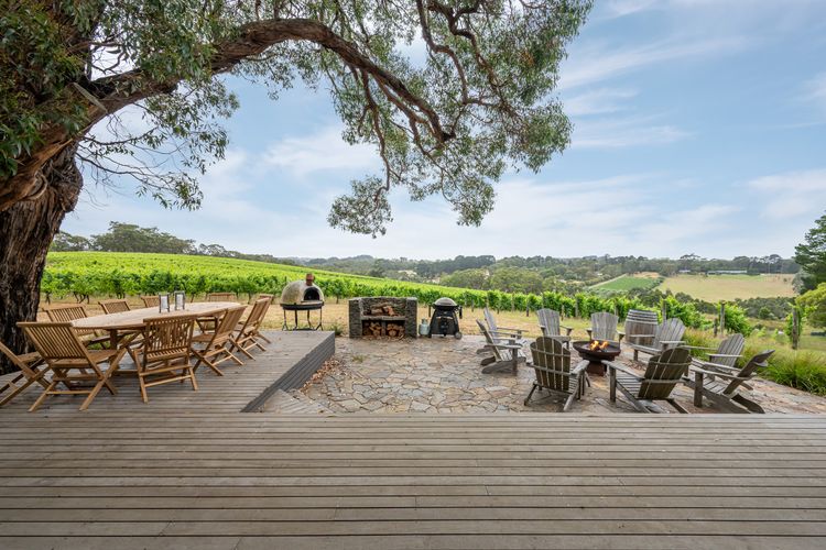 Views over the vines, this place is absolutely gorgeous!