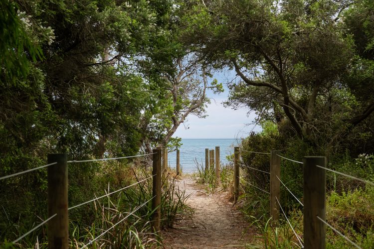 Beachfront Gem in Capel Sound