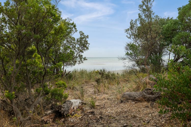 Beachfront Gem in Capel Sound