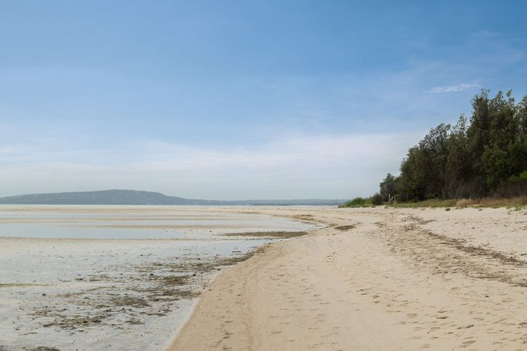 Beachfront Gem in Capel Sound