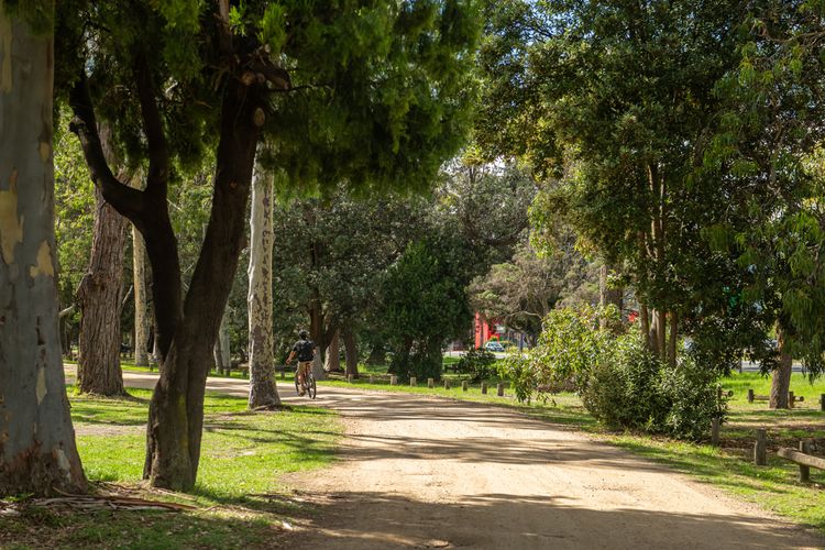 Bay trail, perfect for a stroll or bike ride