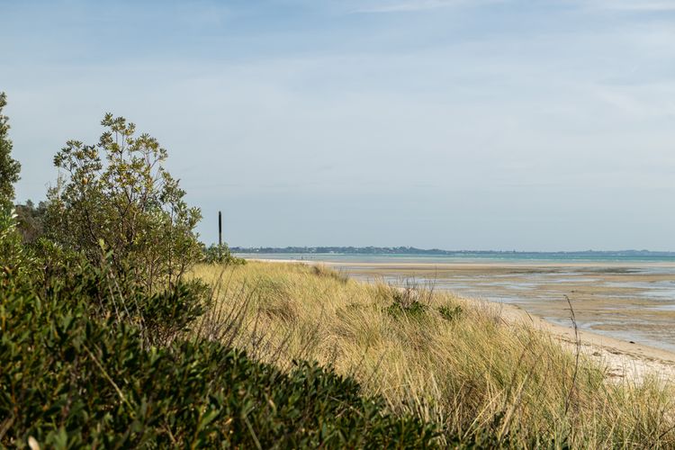 Tides Edge in Capel Sound