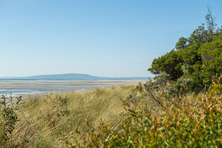 Tides Edge in Capel Sound