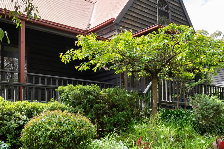 Property details and character