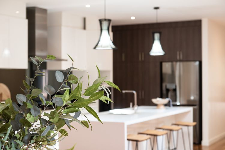 Stylish kitchen