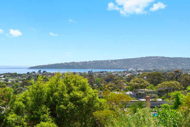 View from the house