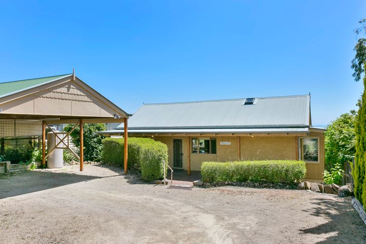 Driveway and Entry