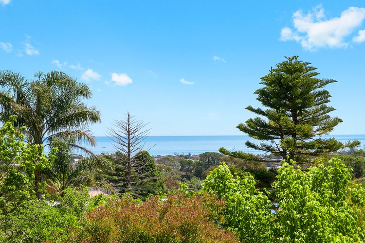 Local views