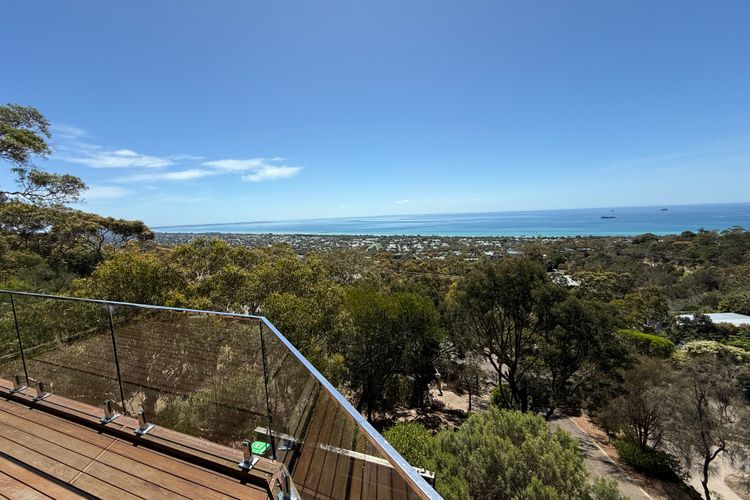 In the treetops with this view