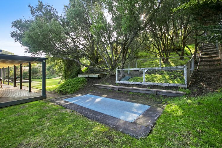 In ground trampoline Dog enclosure