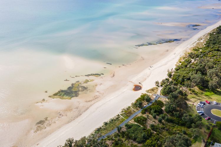 Aerial shot of the area